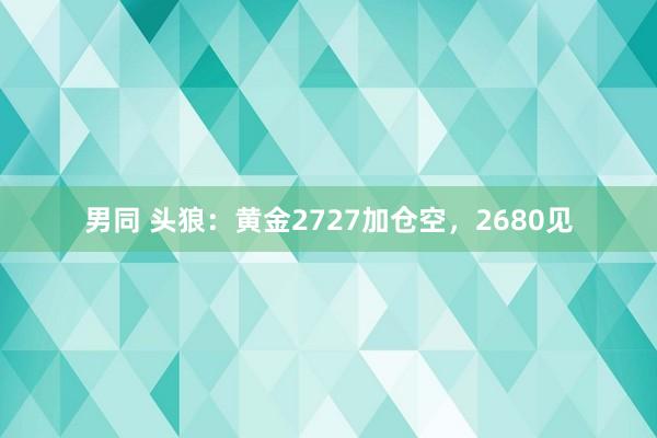 男同 头狼：黄金2727加仓空，2680见