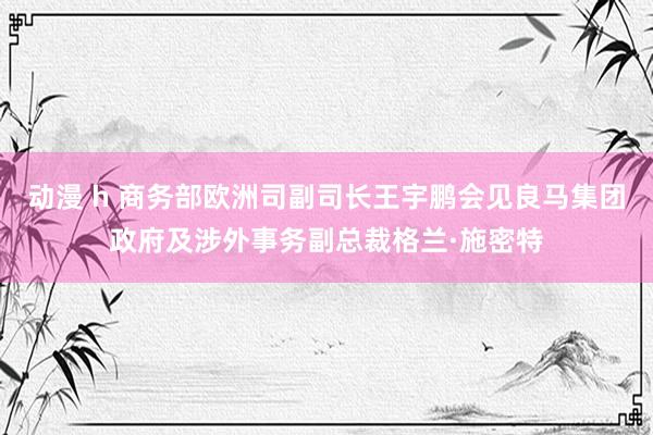 动漫 h 商务部欧洲司副司长王宇鹏会见良马集团政府及涉外事务副总裁格兰·施密特