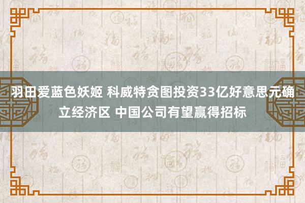 羽田爱蓝色妖姬 科威特贪图投资33亿好意思元确立经济区 中国公司有望赢得招标