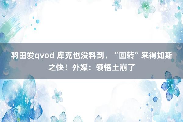 羽田爱qvod 库克也没料到，“回转”来得如斯之快！外媒：领悟土崩了