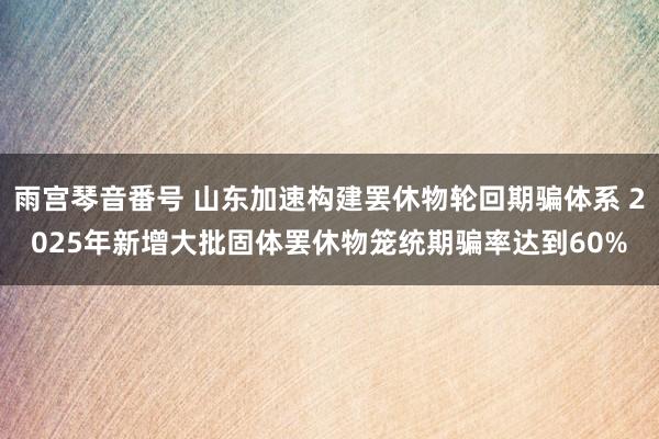 雨宫琴音番号 山东加速构建罢休物轮回期骗体系 2025年新增大批固体罢休物笼统期骗率达到60%