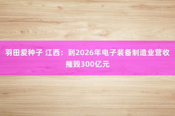 羽田爱种子 江西：到2026年电子装备制造业营收摧毁300亿元