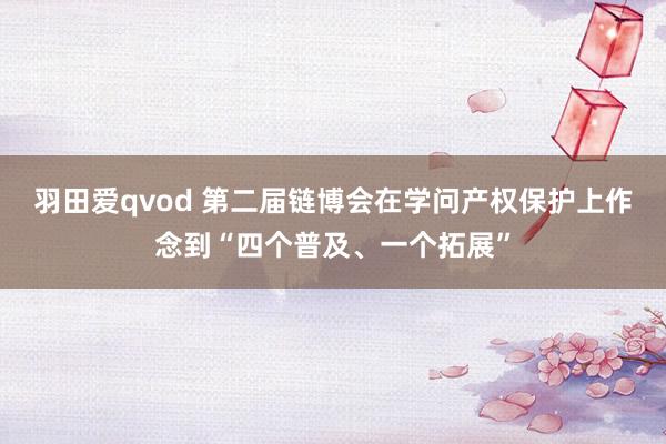 羽田爱qvod 第二届链博会在学问产权保护上作念到“四个普及、一个拓展”