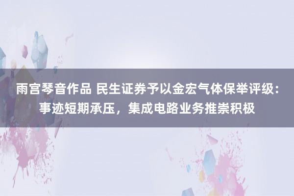 雨宫琴音作品 民生证券予以金宏气体保举评级：事迹短期承压，集成电路业务推崇积极