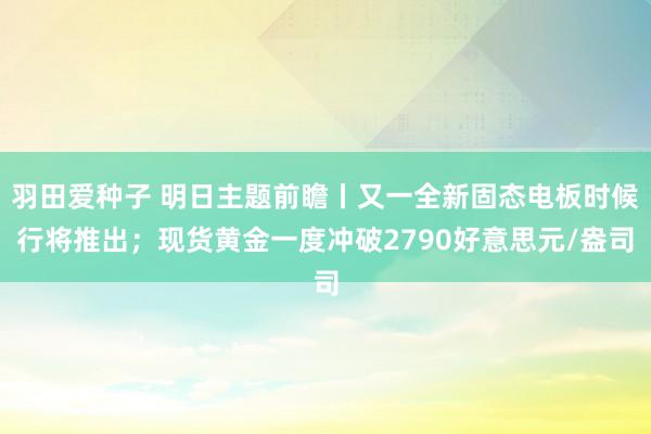 羽田爱种子 明日主题前瞻丨又一全新固态电板时候行将推出；现货黄金一度冲破2790好意思元/盎司