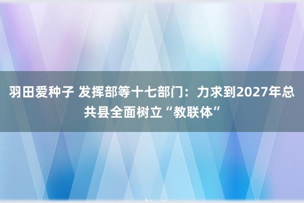 羽田爱种子 发挥部等十七部门：力求到2027年总共县全面树立“教联体”