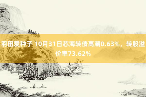 羽田爱种子 10月31日芯海转债高潮0.63%，转股溢价率73.62%