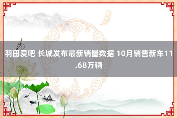 羽田爱吧 长城发布最新销量数据 10月销售新车11.68万辆