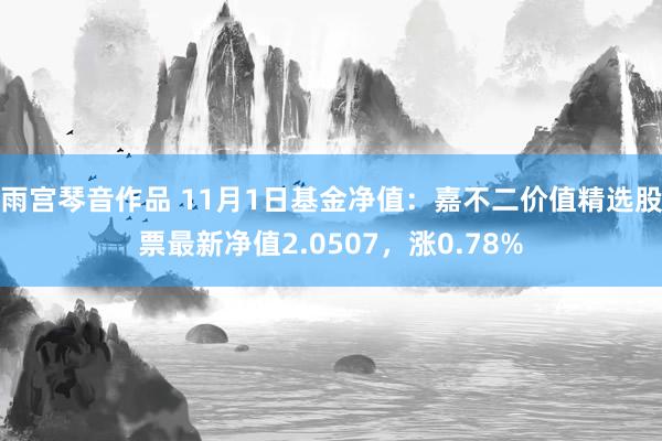 雨宫琴音作品 11月1日基金净值：嘉不二价值精选股票最新净值2.0507，涨0.78%