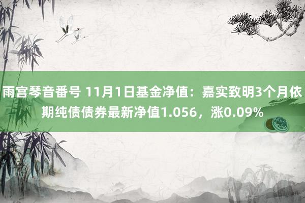 雨宫琴音番号 11月1日基金净值：嘉实致明3个月依期纯债债券最新净值1.056，涨0.09%