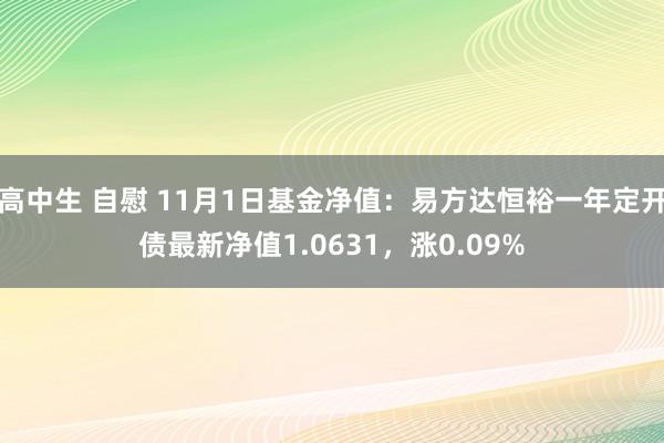 高中生 自慰 11月1日基金净值：易方达恒裕一年定开债最新净值1.0631，涨0.09%