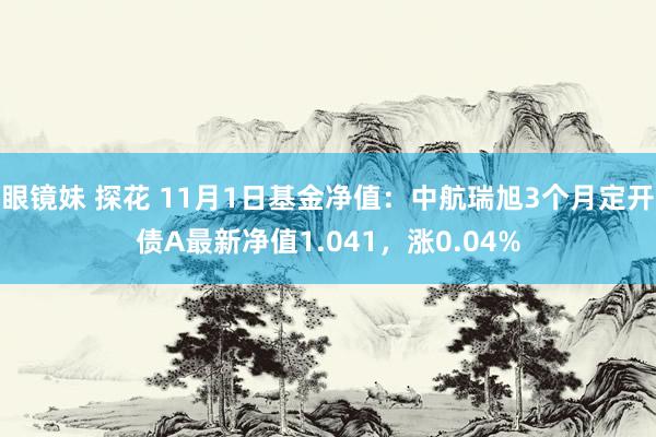 眼镜妹 探花 11月1日基金净值：中航瑞旭3个月定开债A最新净值1.041，涨0.04%