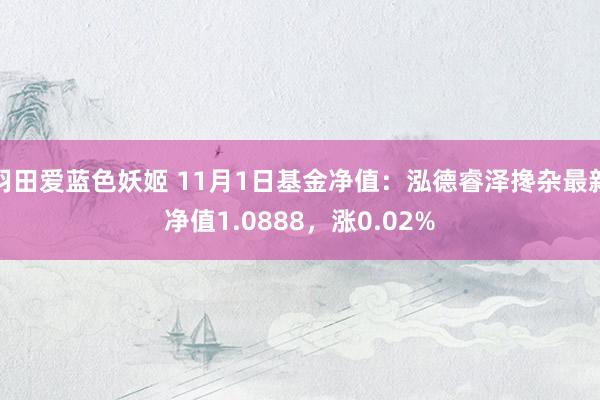 羽田爱蓝色妖姬 11月1日基金净值：泓德睿泽搀杂最新净值1.0888，涨0.02%