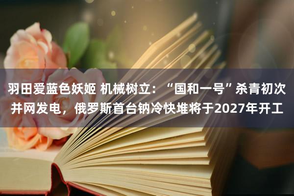 羽田爱蓝色妖姬 机械树立：“国和一号”杀青初次并网发电，俄罗斯首台钠冷快堆将于2027年开工