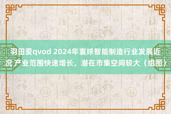 羽田爱qvod 2024年寰球智能制造行业发展近况 产业范围快速增长，潜在市集空间较大（组图）