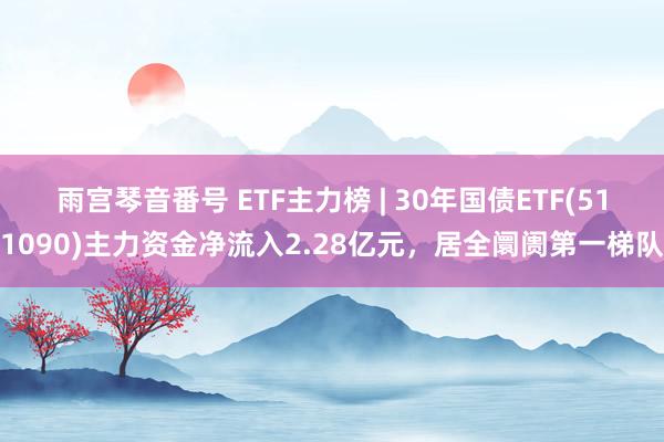 雨宫琴音番号 ETF主力榜 | 30年国债ETF(511090)主力资金净流入2.28亿元，居全阛阓第一梯队