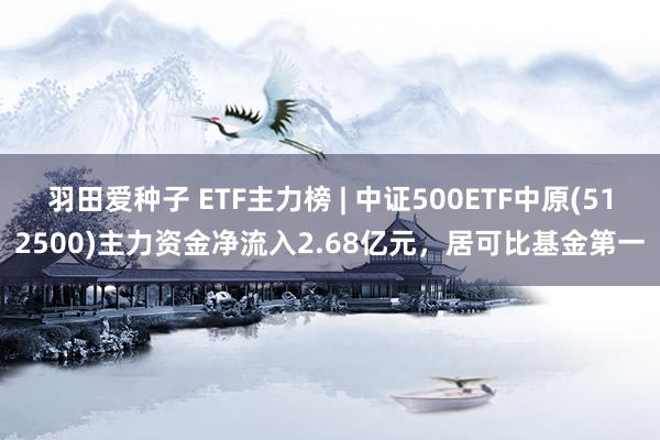 羽田爱种子 ETF主力榜 | 中证500ETF中原(512500)主力资金净流入2.68亿元，居可比基金第一