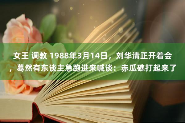 女王 调教 1988年3月14日，刘华清正开着会，蓦然有东谈主急跑进来喊谈：赤瓜礁打起来了