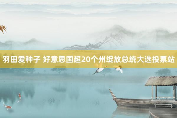 羽田爱种子 好意思国超20个州绽放总统大选投票站