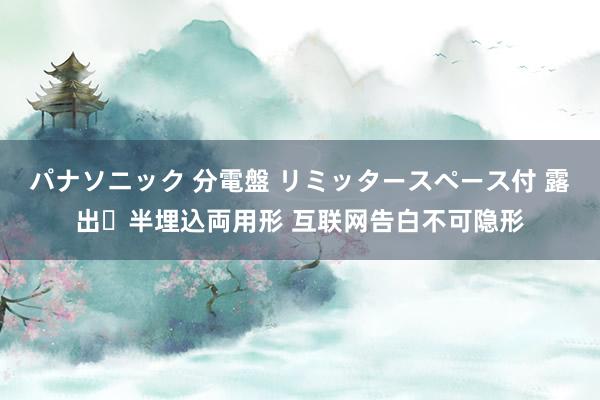 パナソニック 分電盤 リミッタースペース付 露出・半埋込両用形 互联网告白不可隐形