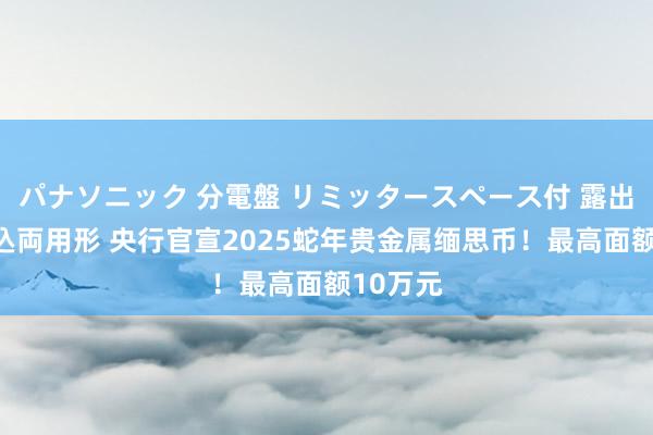 パナソニック 分電盤 リミッタースペース付 露出・半埋込両用形 央行官宣2025蛇年贵金属缅思币！最高面额10万元