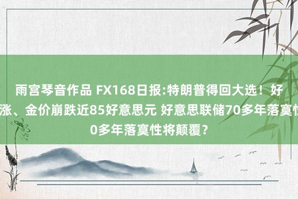 雨宫琴音作品 FX168日报:特朗普得回大选！好意思元暴涨、金价崩跌近85好意思元 好意思联储70多年落寞性将颠覆？