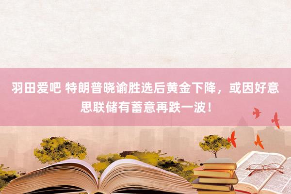 羽田爱吧 特朗普晓谕胜选后黄金下降，或因好意思联储有蓄意再跌一波！