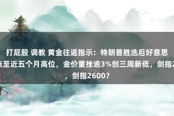 打屁股 调教 黄金往返指示：特朗普胜选后好意思元大涨至近五个月高位，金价重挫逾3%创三周新低，剑指2600？