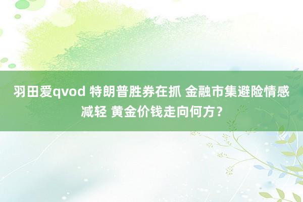 羽田爱qvod 特朗普胜券在抓 金融市集避险情感减轻 黄金价钱走向何方？