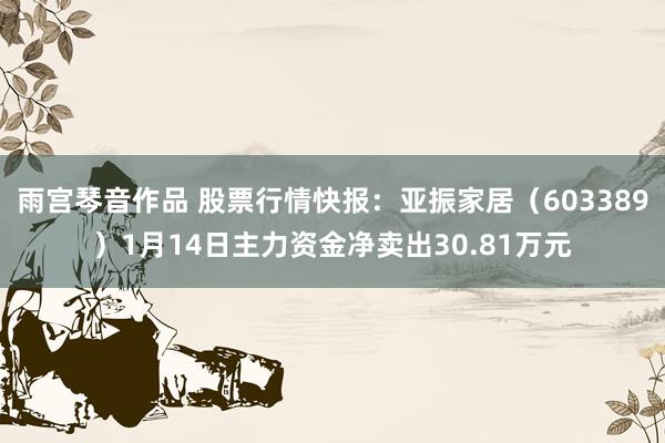 雨宫琴音作品 股票行情快报：亚振家居（603389）1月14日主力资金净卖出30.81万元