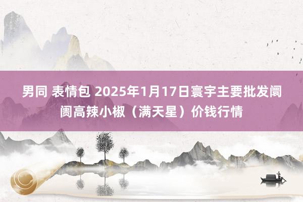 男同 表情包 2025年1月17日寰宇主要批发阛阓高辣小椒（满天星）价钱行情